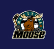 Click Here to visit the Home of Moose Hockey